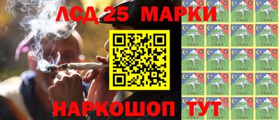 гидра Камышлов