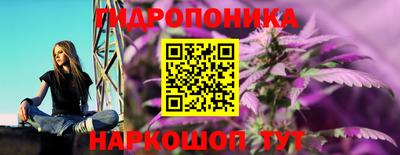 дживик Заводоуковск