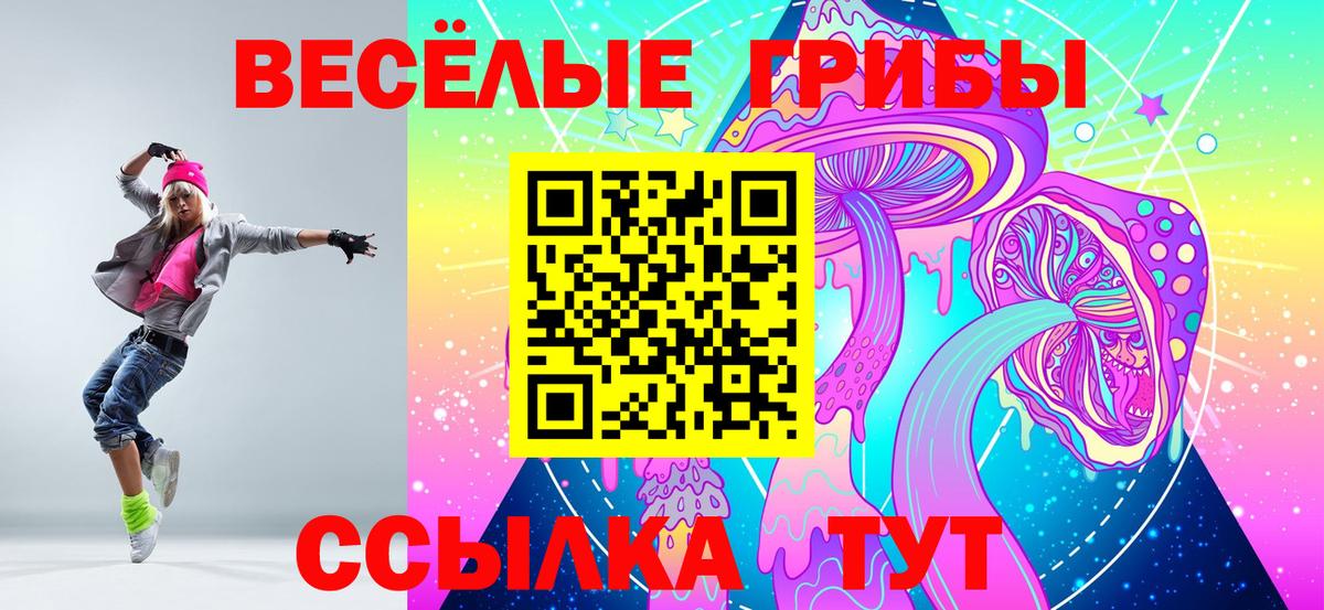 Псилоцибиновые грибы ЛСД Тайшет