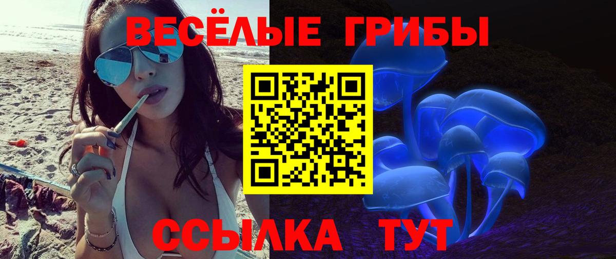 Галлюциногенные грибы MAGIC MUSHROOMS  Тайшет  Псилоцибиновые грибы ЛСД 