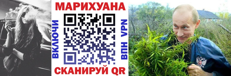 Конопля индика  как найти наркотики  Тайшет 